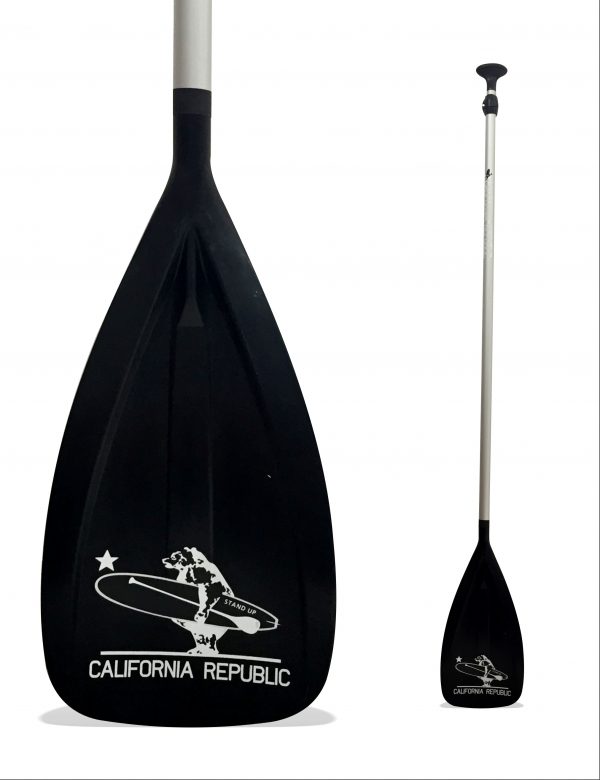 Remo Stand up paddle basico