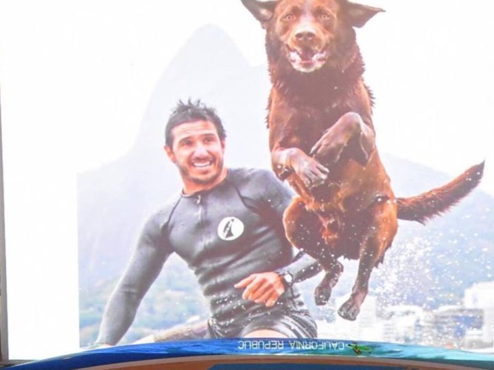 Bono Surf Dog – Tetra Campeão Mundial de Surf