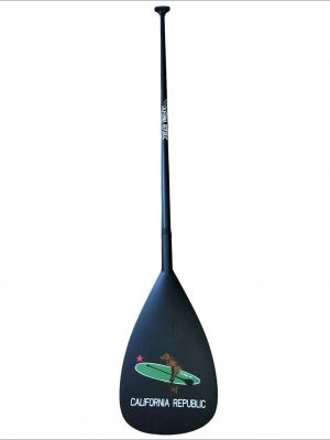 remo sup carbono